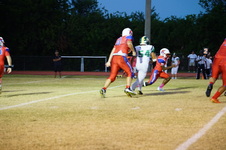 Enlarge photo 129