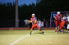 Enlarge photo 133