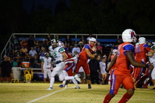 Enlarge photo 215