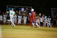 Enlarge photo 394