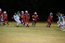 Enlarge photo 473