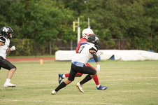 Enlarge photo 61