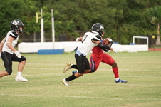 Enlarge photo 62