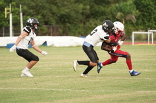 Enlarge photo 64