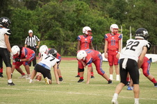 Enlarge photo 66