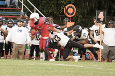 Enlarge photo 71