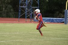 Enlarge photo 93