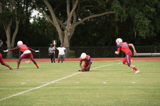 Enlarge photo 107