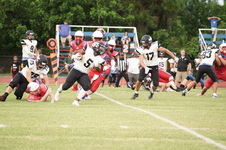Enlarge photo 135