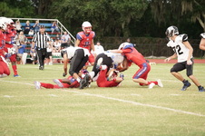 Enlarge photo 141