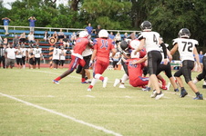 Enlarge photo 148