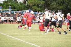 Enlarge photo 147