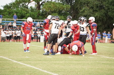 Enlarge photo 151