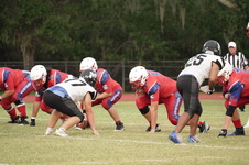 Enlarge photo 157