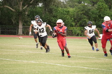 Enlarge photo 162