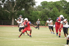 Enlarge photo 163