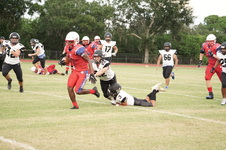 Enlarge photo 168