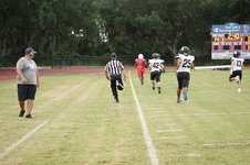 Enlarge photo 170