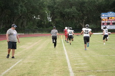 Enlarge photo 172