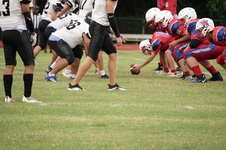 Enlarge photo 179