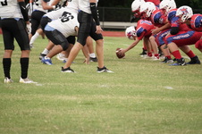 Enlarge photo 181