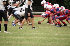 Enlarge photo 183