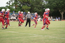 Enlarge photo 208