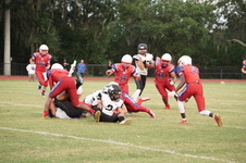 Enlarge photo 217