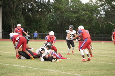 Enlarge photo 216