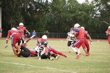 Enlarge photo 218