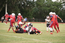 Enlarge photo 219