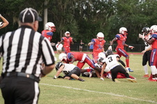 Enlarge photo 220