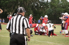 Enlarge photo 222