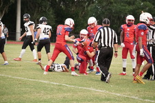 Enlarge photo 225