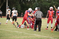 Enlarge photo 224