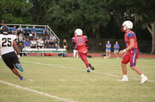 Enlarge photo 241