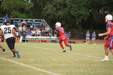 Enlarge photo 242