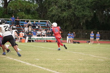 Enlarge photo 244