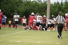 Enlarge photo 246