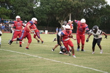 Enlarge photo 272