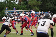Enlarge photo 282