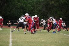 Enlarge photo 293