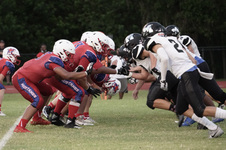 Enlarge photo 317