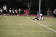 Enlarge photo 339