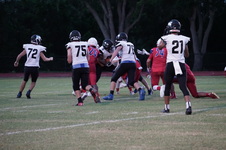 Enlarge photo 354