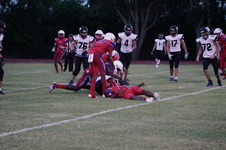 Enlarge photo 376