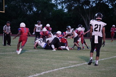 Enlarge photo 382