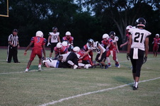 Enlarge photo 381