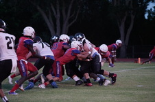 Enlarge photo 391