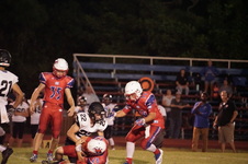Enlarge photo 724